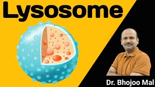 Lysosome  Class 11 biology  by Dr Bhojoo Mal [upl. by Nelyag388]