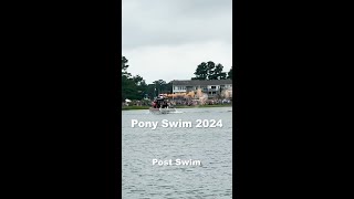 Pony Swim 2024 [upl. by Ynned97]