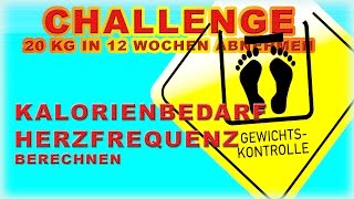 Berechnen des Kalorienbedarfs sinnvoll  VLog 44 Abnehm Challenge [upl. by Eimak]