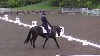 Boyd Martin amp Tsetserleg CCI 2 Star Dressage [upl. by Aicenaj]