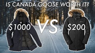 Is a Canada Goose Jacket Worth it Canada Goose Review [upl. by Airdnua]