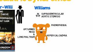 MRCGP Crammers Paediatric Syndromes [upl. by Faires89]