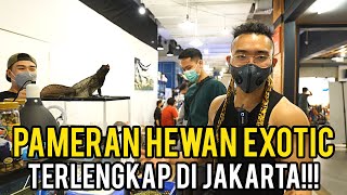 GREBEK PAMERAN HEWAN EXOTIC TERLENGKAP DITENGAH TEMPAT MAKAN [upl. by Allesiram]