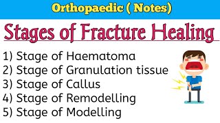 Stages of Fracture Healing [upl. by Kelwen]