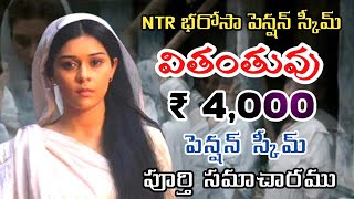 Widow Pension Application ProcessNTR BHAROSA PENSION SCHEMELatest News today in TeluguNew pension [upl. by Eerihs658]