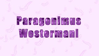 13 Paragonimus westermani جانبية المناسل الفسترمانية [upl. by Newo]