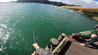 Fishing at Whangaroa wharf June 2022 [upl. by Aliuqet]