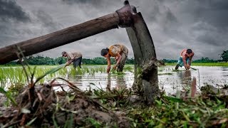 Leven in armoede in ontwikkelingslanden derdewereldlanden in beeld Wat valt je op [upl. by Lleirbag273]