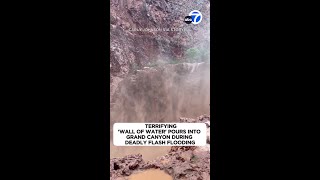 Terrifying wall of water pours into Grand Canyon during deadly flash flooding [upl. by Ellekcir319]