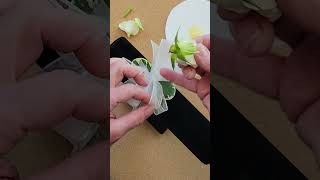 Speedy Corsage Tutorial Part 3 [upl. by Bondie]