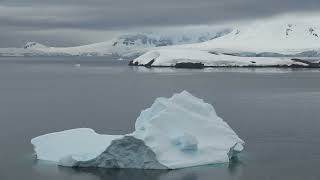 ANTARCTICA PENINSULA Day One  DALLMANN BAY and PARADISE HARBOUR February 24 2024 [upl. by Ahseka]