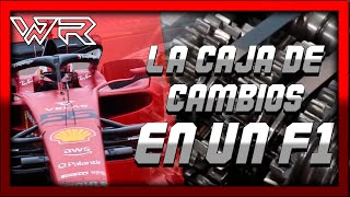 Como Funciona la caja De cambios de un f1 [upl. by Esilrac]