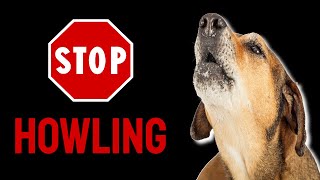 Sound To Stop Dog Howling [upl. by Steve]