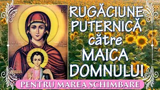 Rugaciune Puternica  Multumire catre Maica Domnului  Picaturi de Lumina [upl. by Ezzo88]