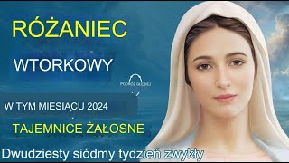 Wtorkowy różaniec 💙 Bolesne tajemnice różańca 💙 12 października 2024 WIRTUALNY RÓŻANIEC [upl. by Eyaj]