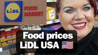 Food Prices LiDL USA 🇺🇲 How CHEAP are Groceries 🛒 [upl. by Hairakcaz257]