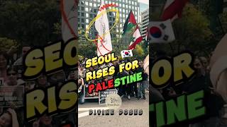 BRAVE PEOPLE from Seoul Korea 🇰🇷 shorts palestine gaza israel shortfeed lebanon [upl. by Gillman]