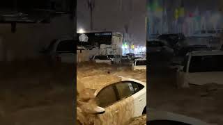 Floods in in Medina Saudi Arabia  3082024 امطارالمدينه [upl. by Huppert]