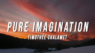 Timothée Chalamet  Pure Imagination Lyrics from Wonka [upl. by Ayatnahs]