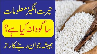 Sago Sabudana ke fayde or nuksan  Sabudana benefits  Sabudana benefits for health  ساگودانہ [upl. by Studdard]