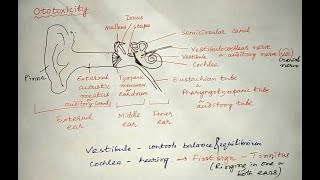 Ototoxicity toxicity toxicology drugs pharmacology [upl. by Lebasile476]