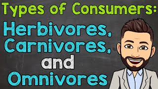 Types of Consumers  Herbivores Carnivores and Omnivores [upl. by Retsub608]