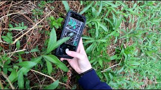 How to Use iNaturalist [upl. by Eppesuig]