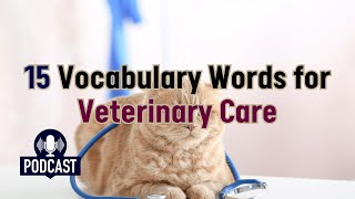 Podcast 15 Vocabulary Words for Veterinary Care [upl. by Queenie]