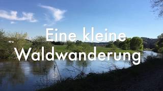 Kleine Waldwanderung [upl. by Nosmoht]