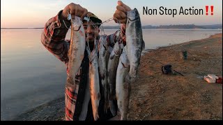 Lake Camanche SS Non Stop Action fishing camanche trout bankfishing fish sports new [upl. by Naida]