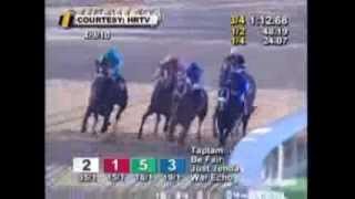 Zenyatta Greatest Race Horse Of All Time Montage  All 19 Wins [upl. by Inalan101]