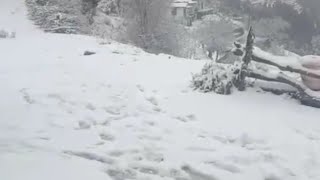 Mussoorie snowfall 2024 [upl. by Anoyk]