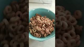 trying the limited cheerios with chocolate milk cause I dont have regular rn  its a 1010 [upl. by Sacci]