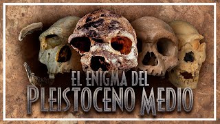 ¿Resuelto 💀 El ENIGMA del PLEISTOCENO MEDIO ¿es válido HOMO HEIDELBERGENSIS [upl. by Bil]