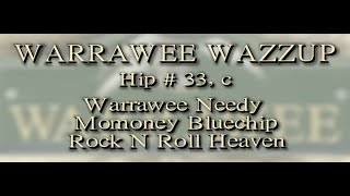 H33 Warrawee Wazzup  LSYS [upl. by Ballinger]