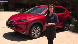 2015 Lexus NX Interior Features Walk Around  Lexus [upl. by Harrell704]