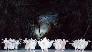 Giselle – Dance of the Willis The Royal Ballet [upl. by Nart649]