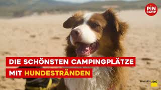 Die schönsten Campingplätze mit Hundestränden CampingmitHund [upl. by Sheffield]