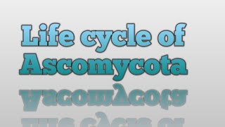 Life Cycle of Ascomycota [upl. by Christis416]