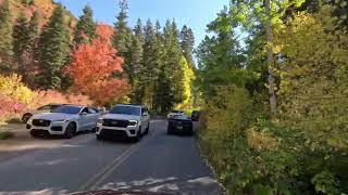 Scenic Autumn Drive Millcreek Canyon from the entrance 4K  Utah [upl. by Miksen975]