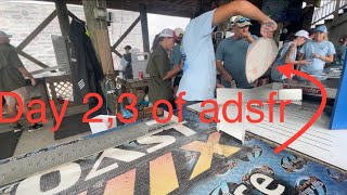 Tournament DAY 2 3 of ALABAMA DEEP SEA FISHING RODEO 2024 [upl. by Hollander]