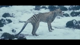 The Hunter  Tasmanian Tiger Scene spoilers [upl. by Aleinad]