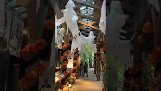 Capilano Bridge Halloween [upl. by Georgiana]