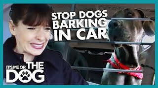 How to Stop Your Dog Barking in the Car  Its Me or the Dog [upl. by Moser]