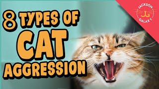 8 Types of Cat Aggression Explained [upl. by Ramat23]