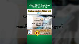 Lumbar puncture Spinal tap💉  Medical biology  අපි නොදන්න Biology  7🫀biology medical shorts [upl. by Derrek]