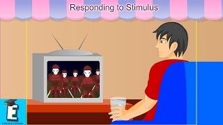 Responding to Stimulus Learn for Children and Kids  EDUKID Learning [upl. by Ahtabbat]