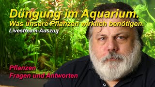 Düngung im Aquarium Was unsere Pflanzen wirklich an Nährstoffen benötigen [upl. by Kcinimod]