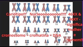 Aula 14  Biologia  Núcleo interfásico e Cromossomo [upl. by Ennybor]