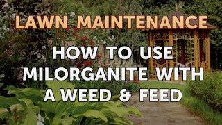 How to Use Milorganite With a Weed amp Feed [upl. by Bethina]